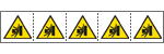 49663MS