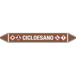 99A481A - foglio da 5 etichette autoadesive con frecce e simboli CICLOESANO