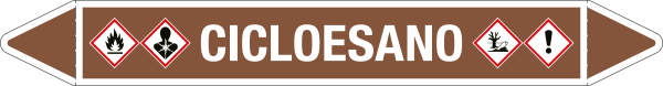 99A481B - foglio da 5 etichette autoadesive con frecce e simboli per CICLOESANO
