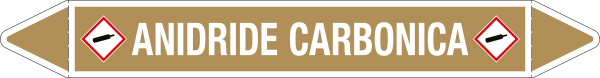 99A891A - foglio da 5 etichette autoadesive con frecce+simb ANIDRIDE CARBONICA