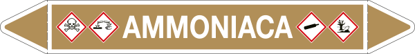 99B282A - foglio da 5 etichette autoadesive con frecce e simboli per AMMONIACA