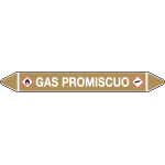 99C670A - foglio da 5 etichette autoadesive con frecce e simboli GAS PROMISCUO