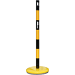 CNV113