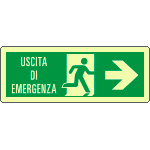 EL720102KA - cartello luminescente DIN PLUS uscita di emergenza freccia dx