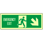 EL720308WA - Cartello fotoluminescente "emergency exit"SE                EN ISO7010