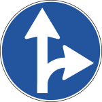 [FLR260081B] FLR260081B - Cartello  NF 81b DIREZIONE CONSIGLIATA DIRITTO DESTRA