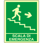 [L20135XP] L20135XP - Cartello fotoluminescente scala emergenza discesa ds