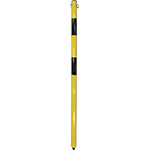 [PAS302] PAS302