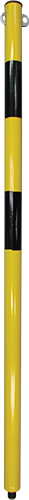 [PAS302] PAS302