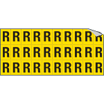 [903R] 903R - Foglio n.30 etichette adesive G/N lettera R