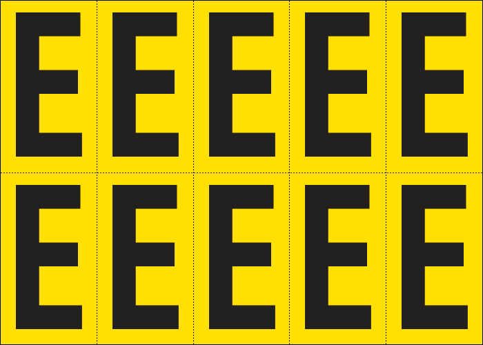 [905E] 905E - Foglio n.10 etichette adesive G/N lettera E