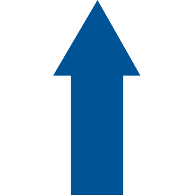 [DMF10B] DMF10B - conf.20 frecce adesive SAFE IN in PVC dimensioni 100x65 mm colore BLU